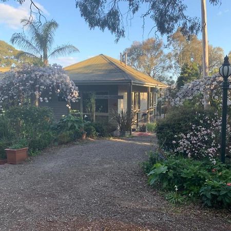 Treetops Bed & Breakfast Blackburn Bagian luar foto