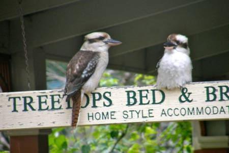 Treetops Bed & Breakfast Blackburn Bagian luar foto