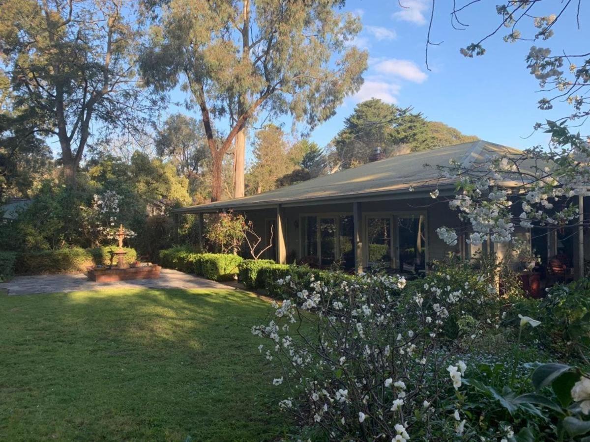 Treetops Bed & Breakfast Blackburn Bagian luar foto